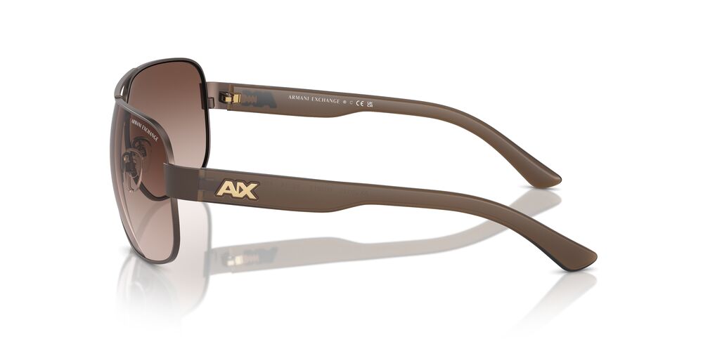 Anteojos De Sol Armani Exchange 0AX2012S Gris/Café