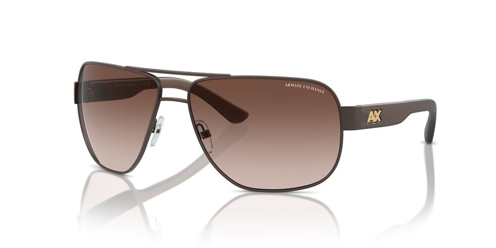 Anteojos De Sol Armani Exchange 0AX2012S Gris/Café