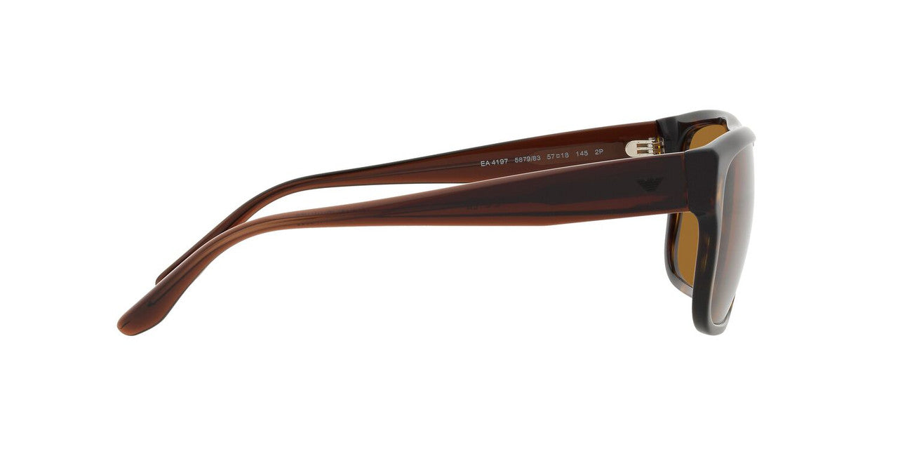 Anteojos De Sol Emporio Armani 0EA4197 Havana/Marron
