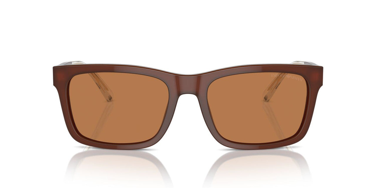 Anteojos De Sol Emporio Armani 0EA4224 Café/Café
