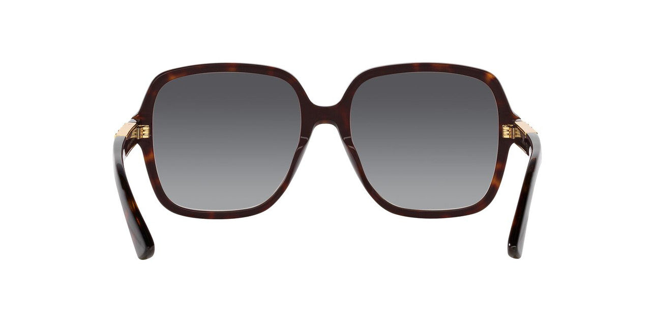 Anteojos De Sol Gucci 0GC001949 Gg1189S Café/Café