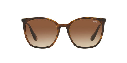 Anteojos De Sol Jack Pacific JK1013M Havana Gradient Brown