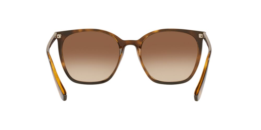 Anteojos De Sol Jack Pacific JK1013M Havana Gradient Brown