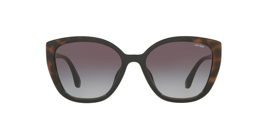 Anteojos De Sol Jack Pacific JK1043U Black + Gradient Havana Light Grey Gradient Dark Grey