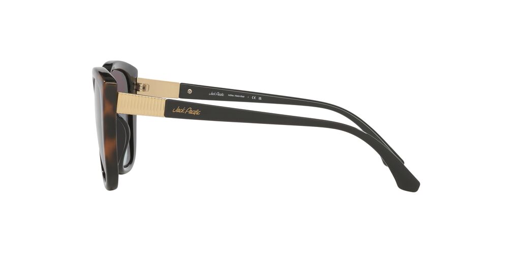 Anteojos De Sol Jack Pacific JK1043U Black + Gradient Havana Light Grey Gradient Dark Grey