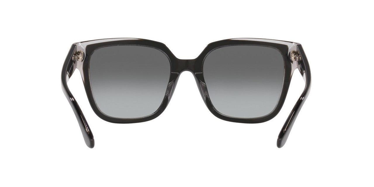 Anteojos De Sol Jack Pacific 0JK6004M Negro/Gris
