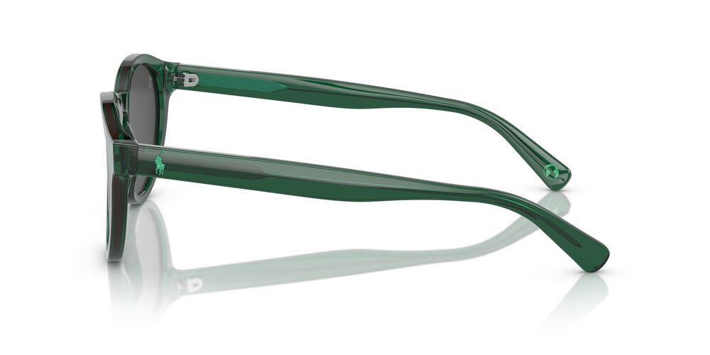 Anteojos De Sol Polo Rl 0PH4192 Gris/Gris