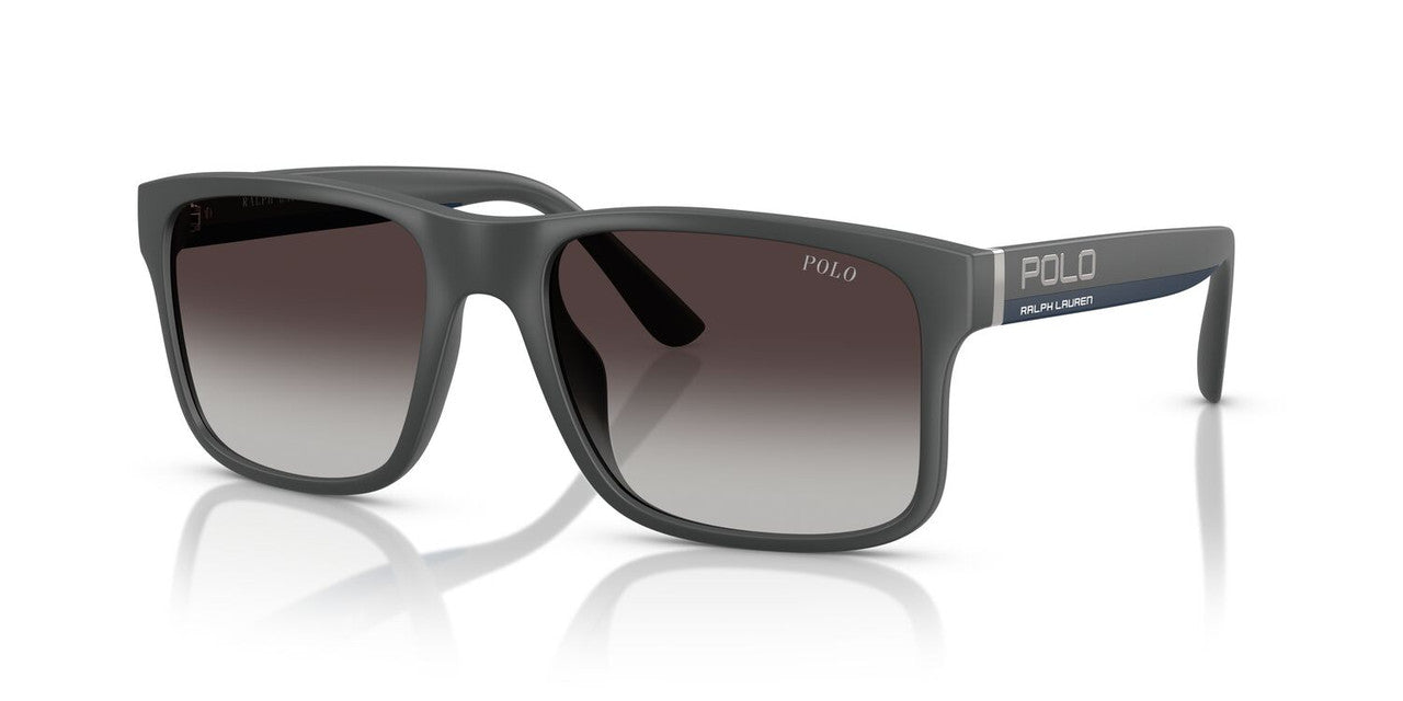 Anteojos De Sol Polo Ralph Lauren 0PH4195U Gris/Gris