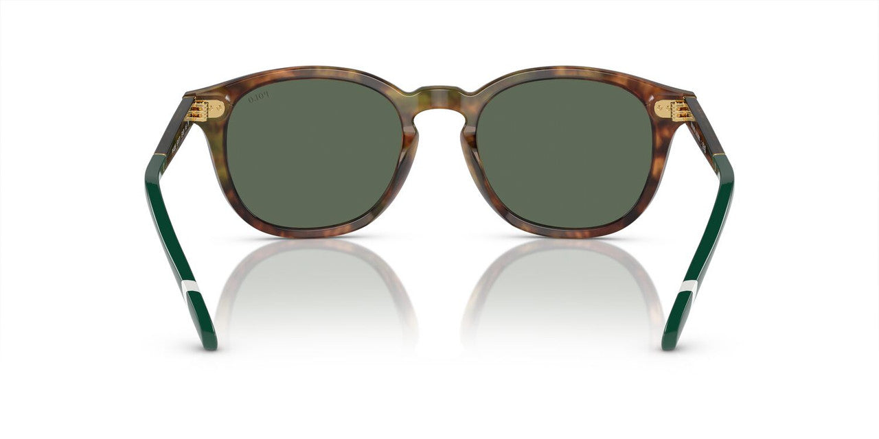 Anteojos De Sol Polo Ralph Lauren 0PH4206 Café/Verde
