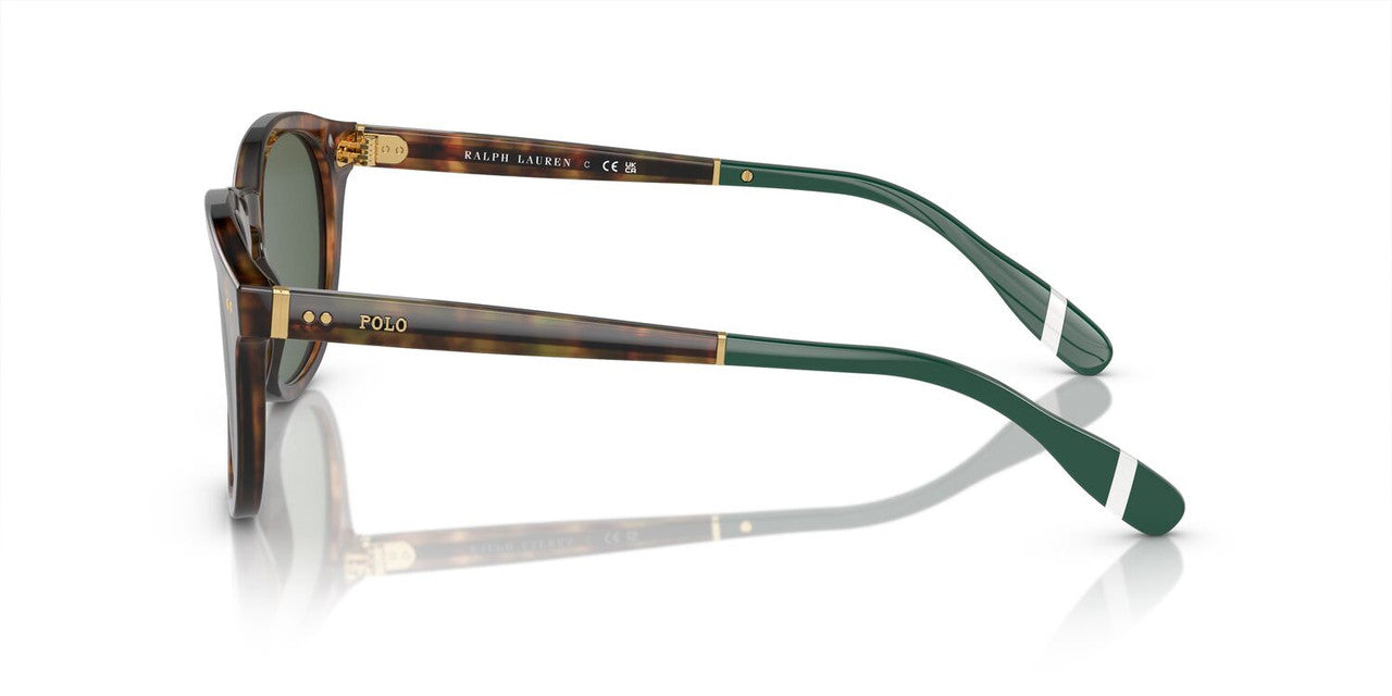 Anteojos De Sol Polo Ralph Lauren 0PH4206 Café/Verde