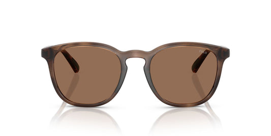 Anteojos De Sol Polo Ralph Lauren 0PH4222U Havana/Café