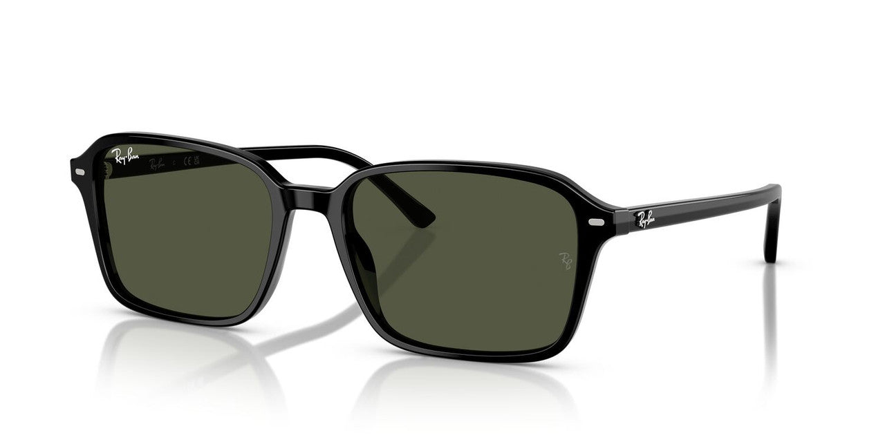 Anteojos De Sol Ray-Ban 0RB2231 Raimond Negro/Verde