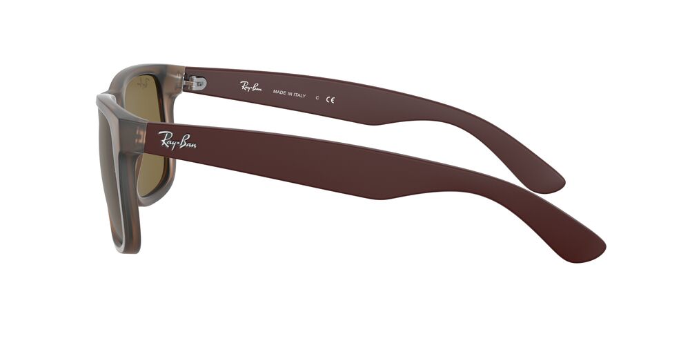 Anteojos De Sol Ray-Ban RB4165 Justin Café/Café