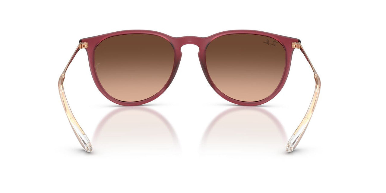 Anteojos De Sol Ray-Ban 0RB4171 Erika Violeta/Rosa