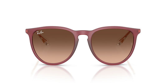 Anteojos De Sol Ray-Ban 0RB4171 Erika Violeta/Rosa