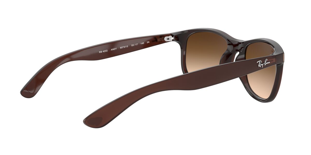 Anteojos De Sol Ray-Ban RB4202 Andy Café/Café