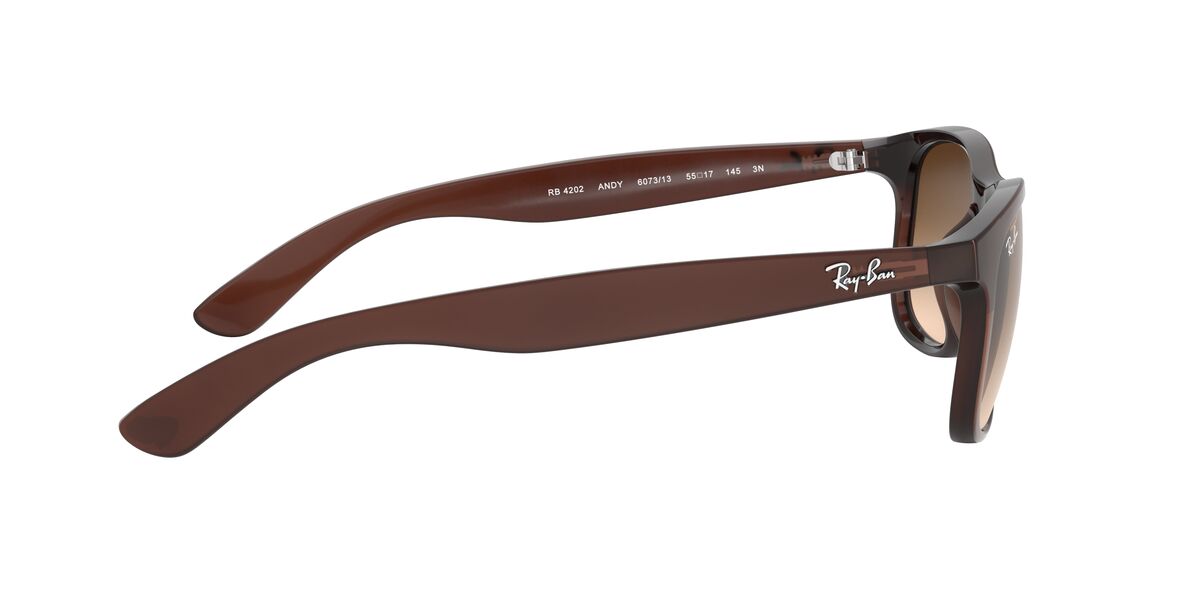 Anteojos De Sol Ray-Ban RB4202 Andy Café/Café
