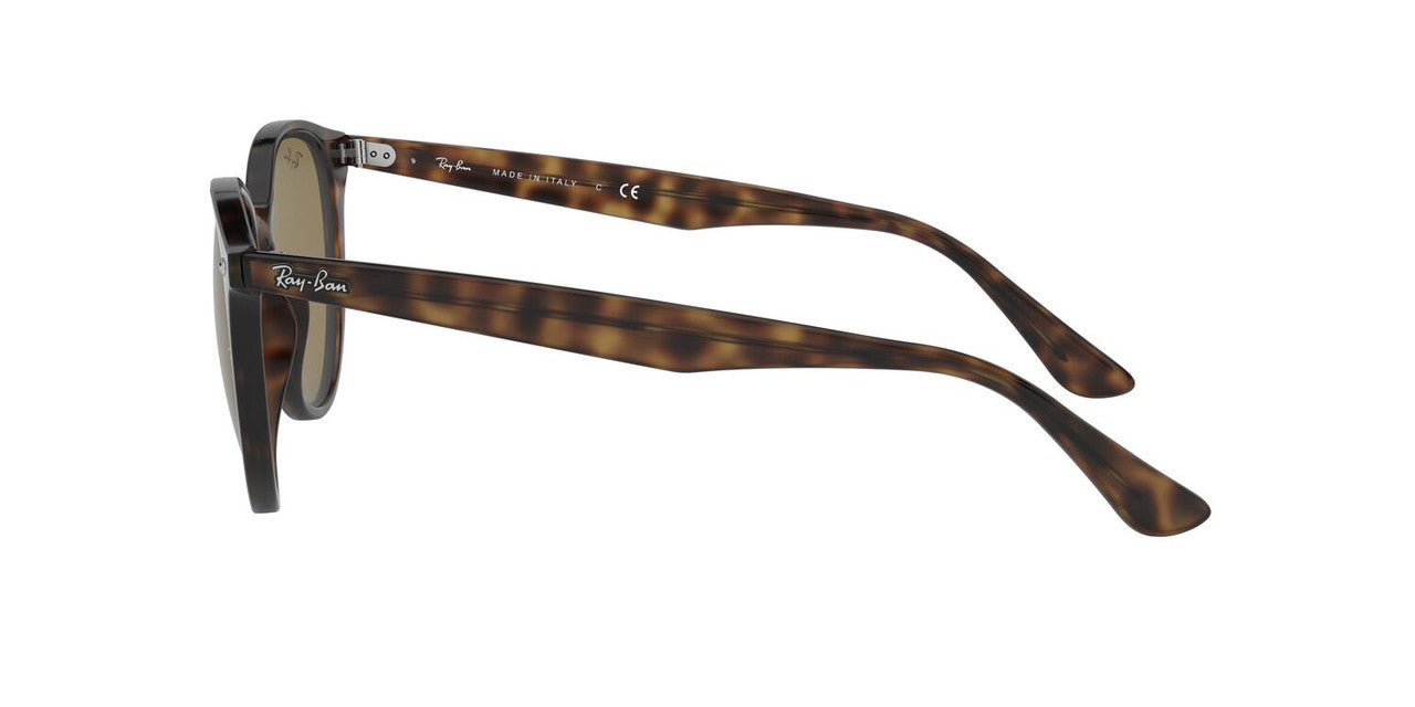 Anteojos De Sol Ray-Ban 0J84125 Havana/Café
