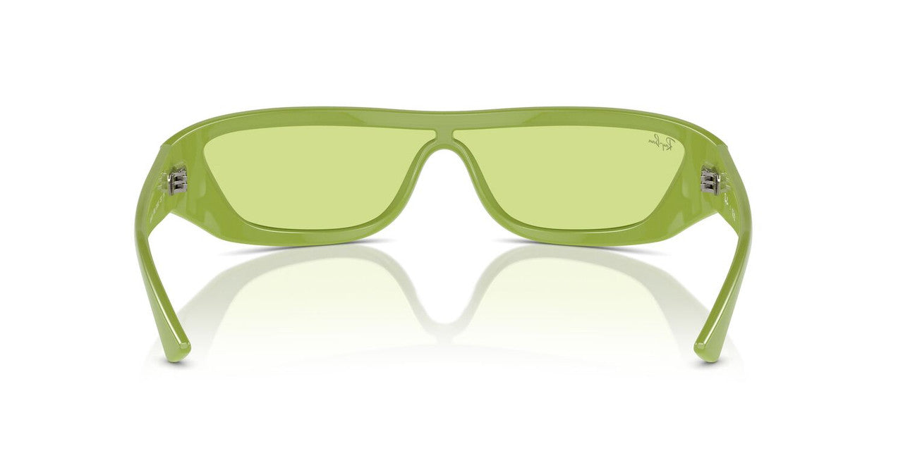 Anteojos De Sol Ray-Ban 0RB4431 Xan Verde/Verde