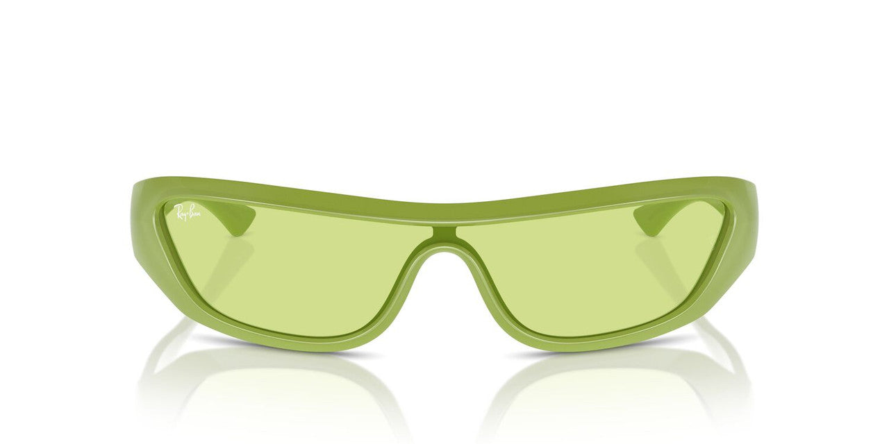 Anteojos De Sol Ray-Ban 0RB4431 Xan Verde/Verde