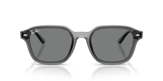Anteojos De Sol Ray-Ban 0RB4458D Gris/Café