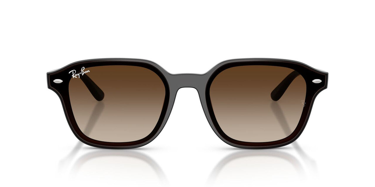 Anteojos De Sol Ray-Ban RB4458D Café/Café