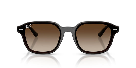 Anteojos De Sol Ray-Ban RB4458D Café/Café