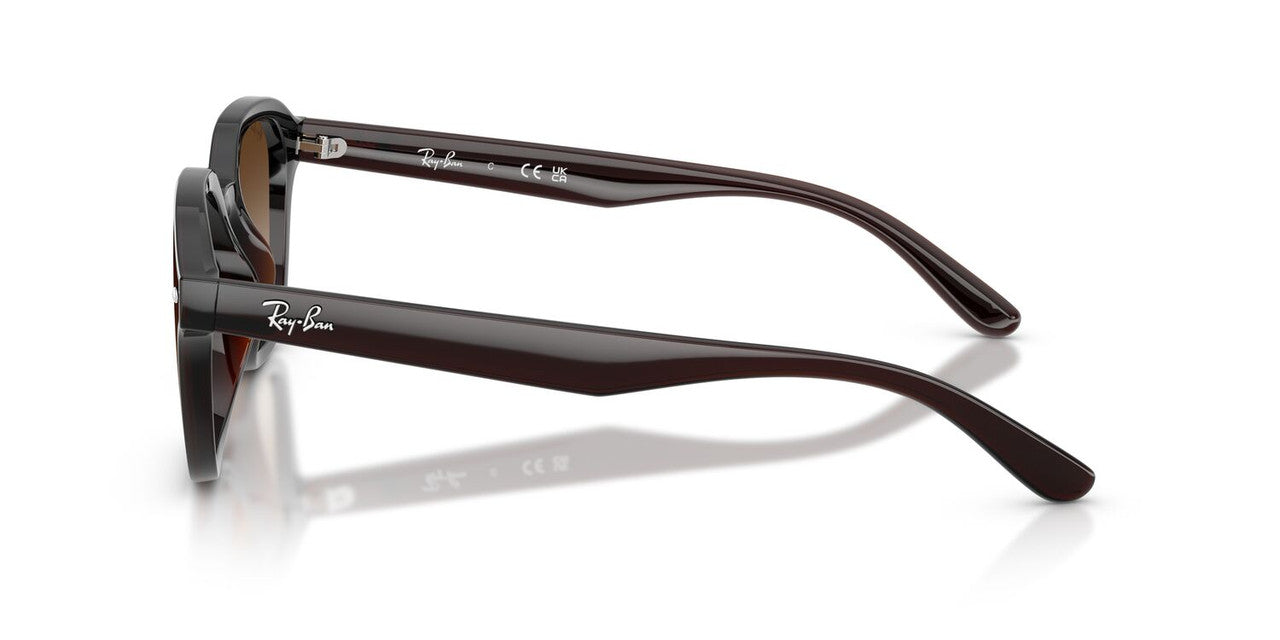 Anteojos De Sol Ray-Ban RB4458D Café/Café