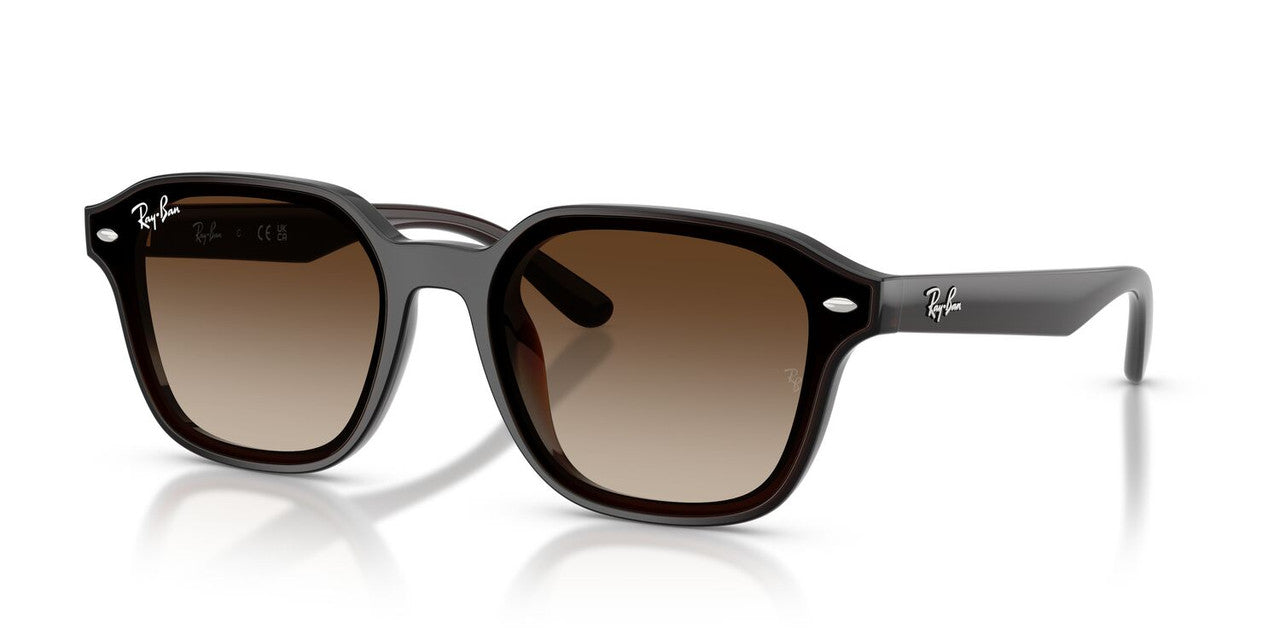 Anteojos De Sol Ray-Ban RB4458D Café/Café