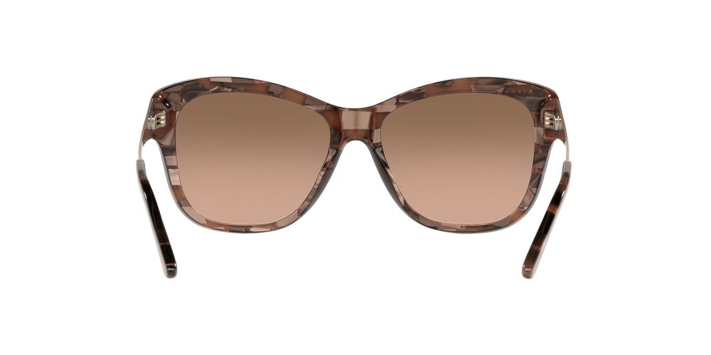 Anteojos De Sol Ralph Lauren 0RL8187 Gris/Café