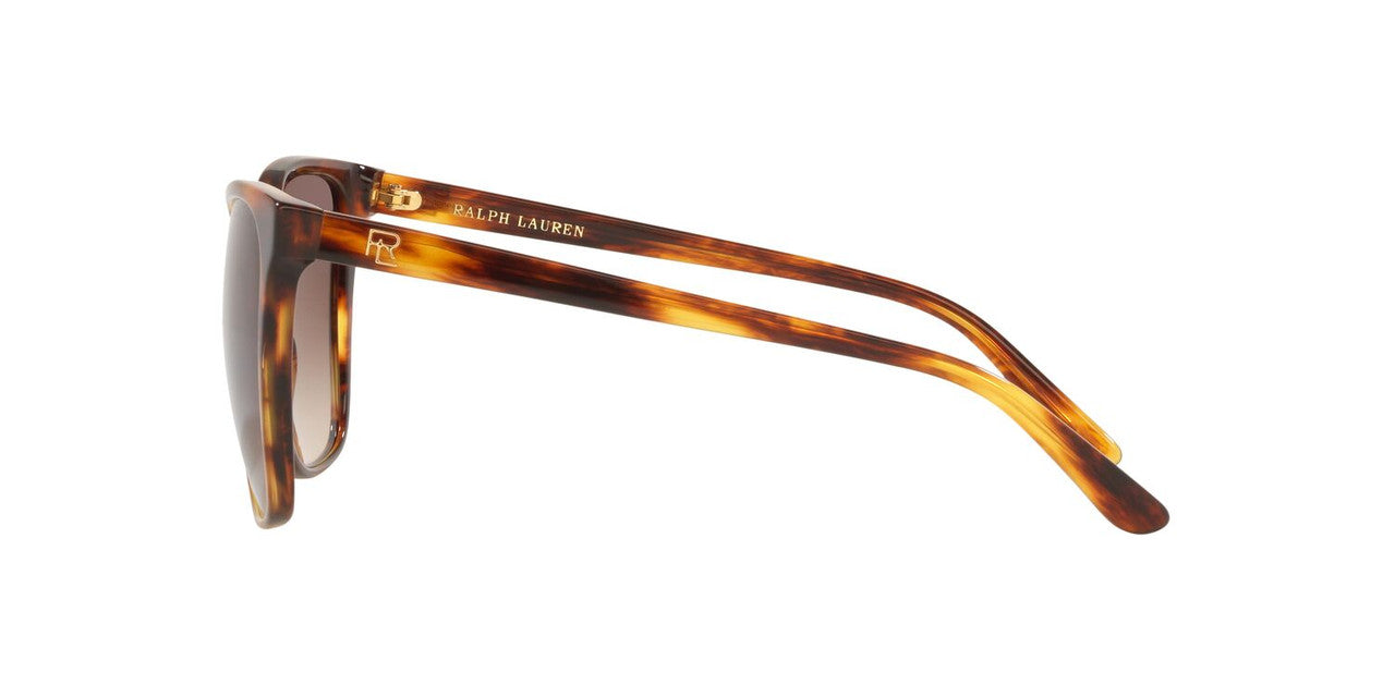 Anteojos De Sol Ralph Lauren 0RL8201 Havana/Café