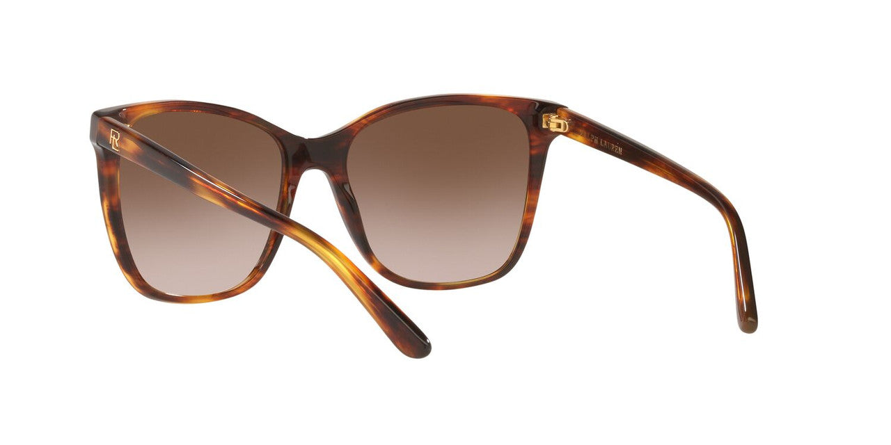 Anteojos De Sol Ralph Lauren 0RL8201 Havana/Café