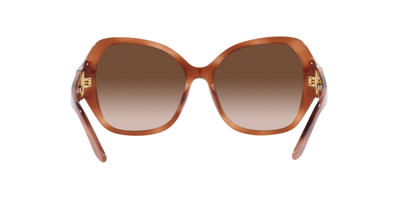 Anteojos De Sol Ralph Lauren 0RL8202B Havana/Café