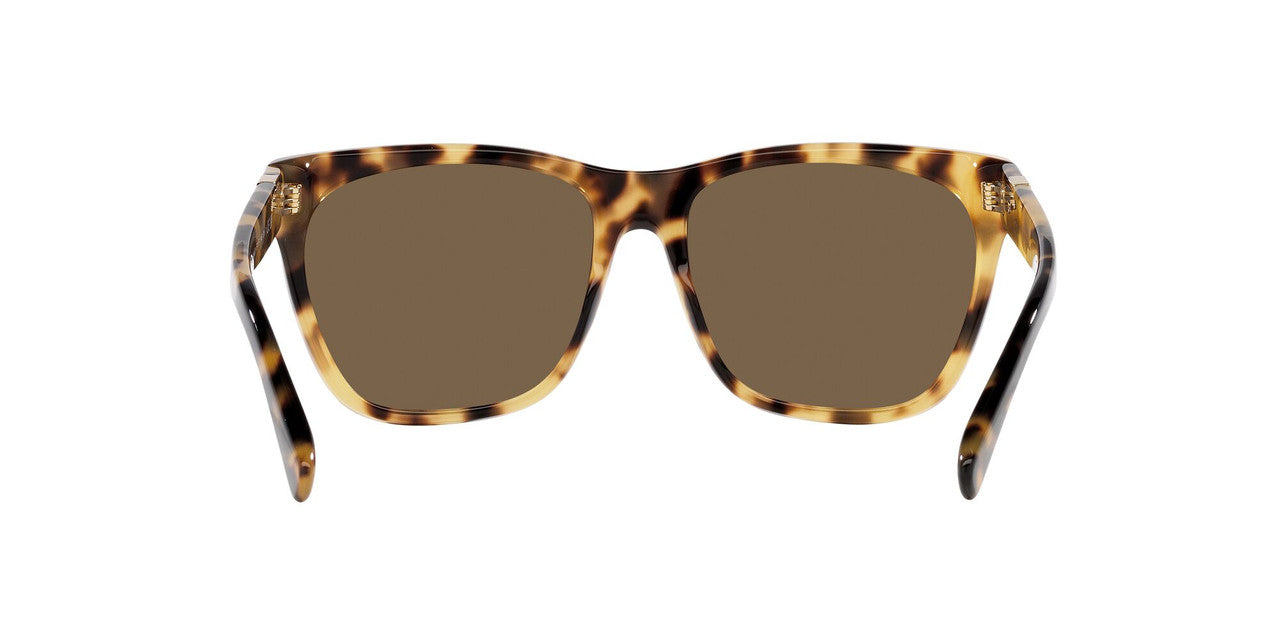 Anteojos De Sol Ralph Lauren 0RL8212 The Ricky Ii Havana/Café