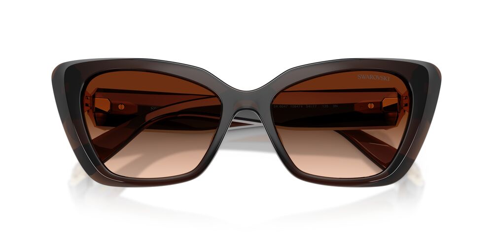 Anteojos De Sol Swarovski SK6047 Transparent Brown Brown Gradient