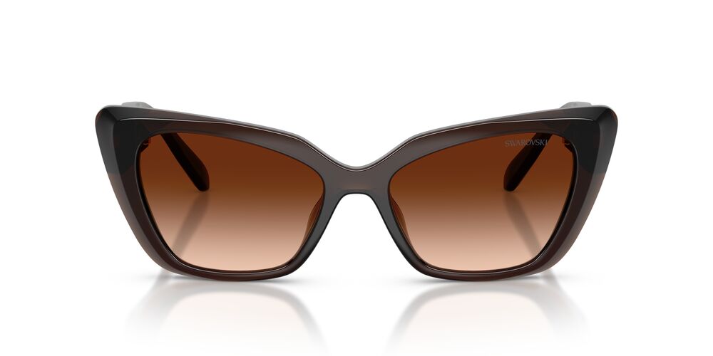 Anteojos De Sol Swarovski SK6047 Transparent Brown Brown Gradient