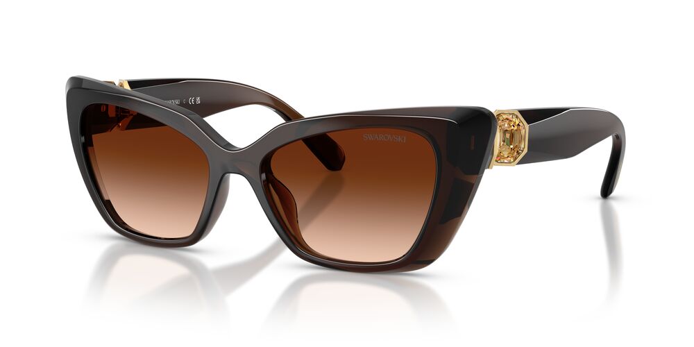 Anteojos De Sol Swarovski SK6047 Transparent Brown Brown Gradient