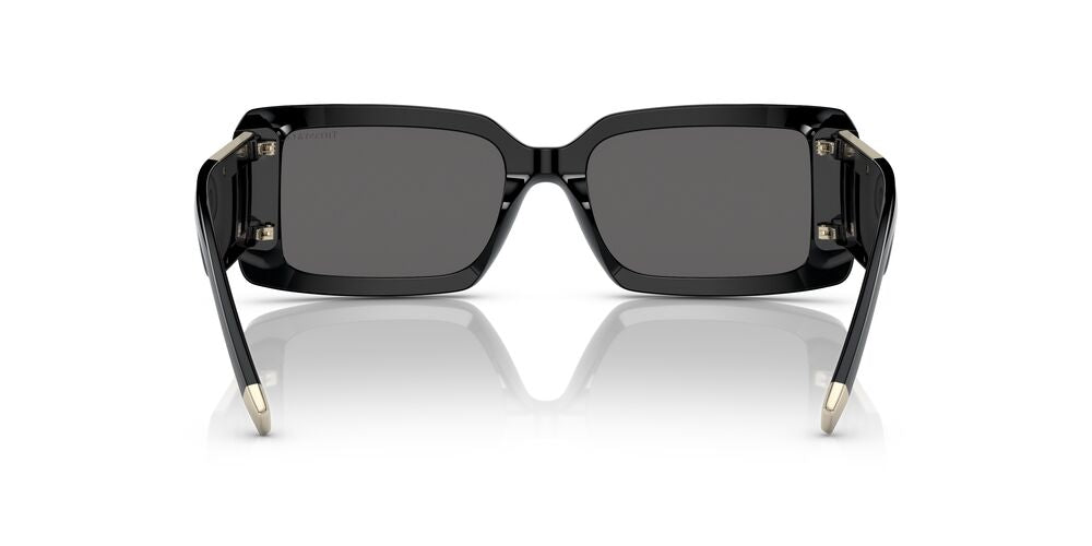 Anteojos De Sol Tiffany 0TF4197 Gris/Negro