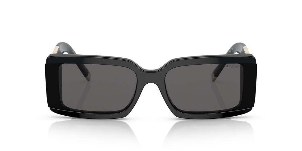 Anteojos De Sol Tiffany 0TF4197 Gris/Negro