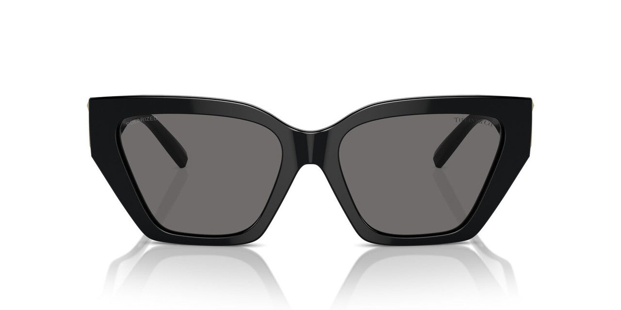 Anteojos De Sol Tiffany 0TF4218 Negro/Gris