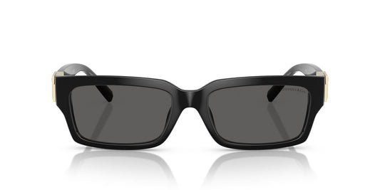 Anteojos De Sol Tiffany 0TF4226U Negro/Gris
