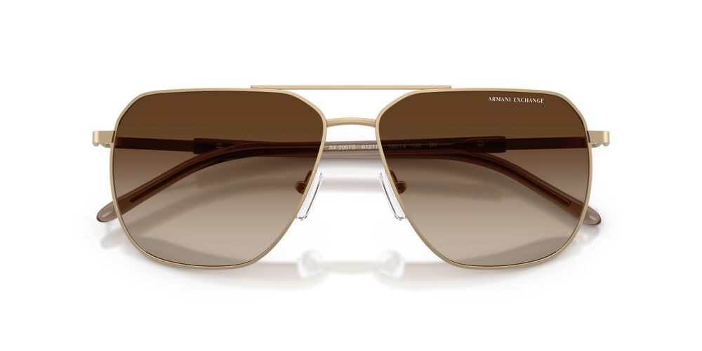 Anteojos De Sol Armani Exchange 0AX2057S Café/Dorado