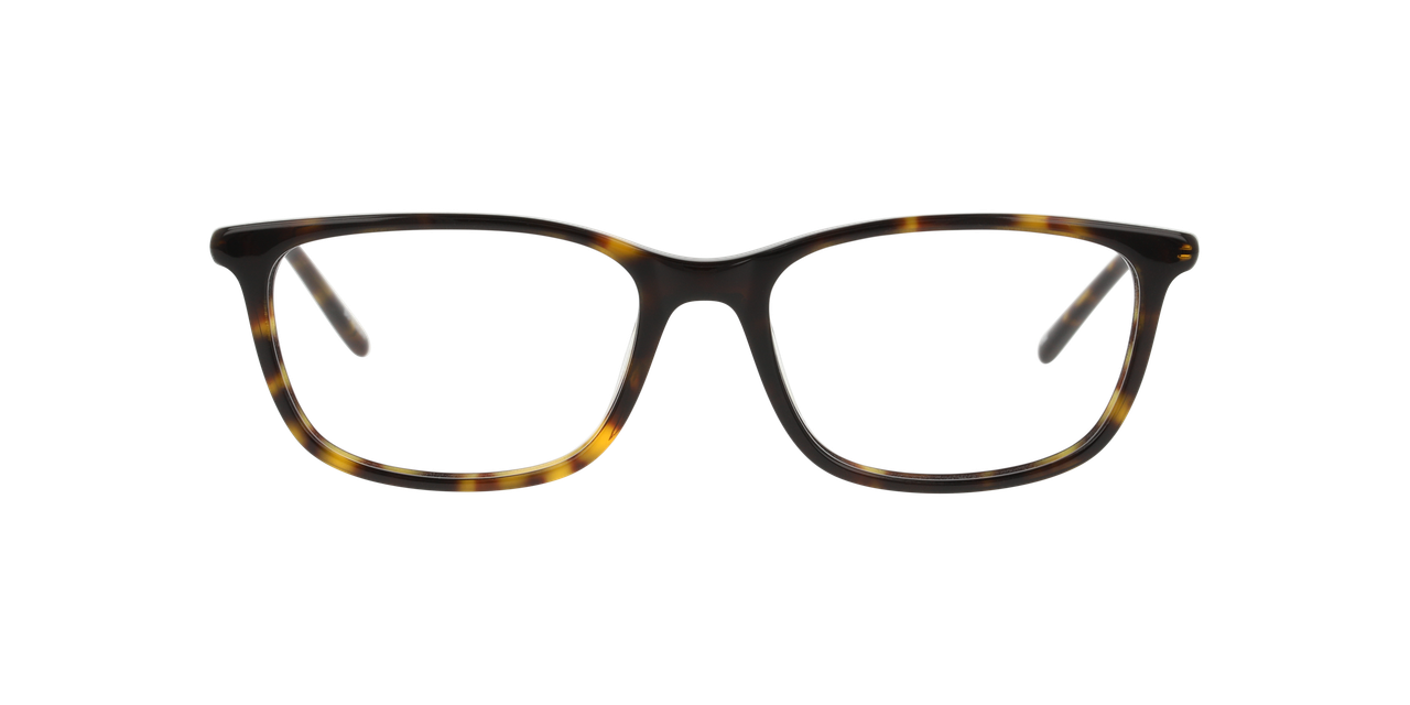 Anteojos Ópticos Dbyd DB2106 Havana
