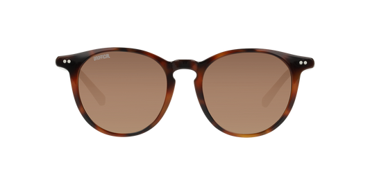 Anteojos De Sol Unofficial 0UO6188 Café/Havana