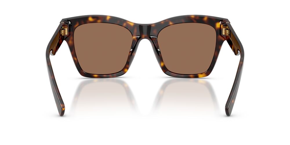 Anteojos De Sol Dolce & Gabbana DG4512 Havana Dark Brown