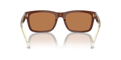 Anteojos De Sol Emporio Armani 0EA4224 Café/Café