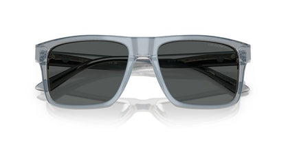Anteojos De Sol Emporio Armani 0EA4232 Gris/Gris