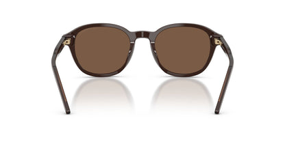 Anteojos De Sol Emporio Armani EA4247U Shiny Brown Brown Café/Café