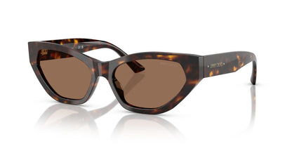 Anteojos De Sol Jimmy Choo 0JC5022B Havana/Café