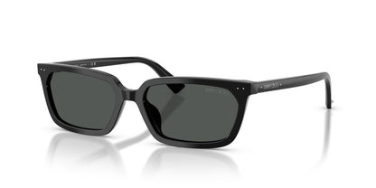 Anteojos De Sol Jimmy Choo JC5050U Black Dark Grey